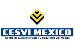 Cesvi México